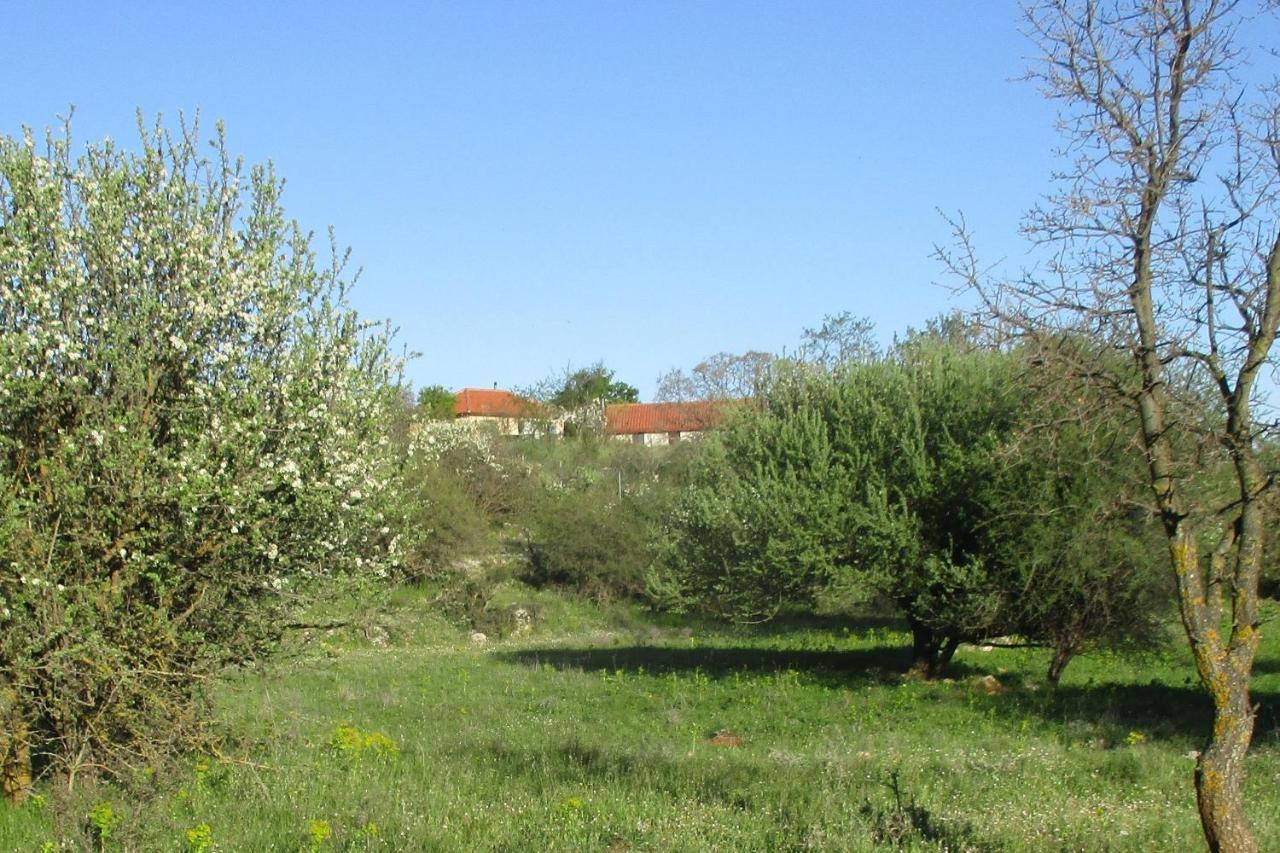 Villa Arcadian Stone House in a quiet landscape, Leonidion Poúlithra Exterior foto